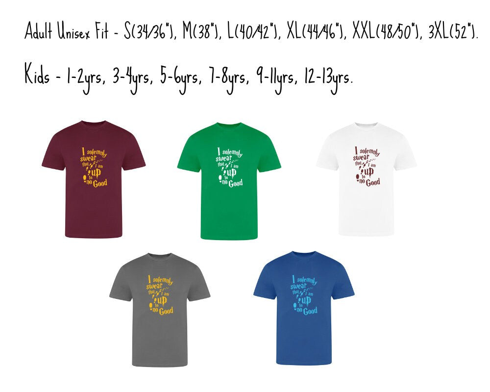 I Solemnly Swear Harry Potter T-shirt - Adult & Juniors