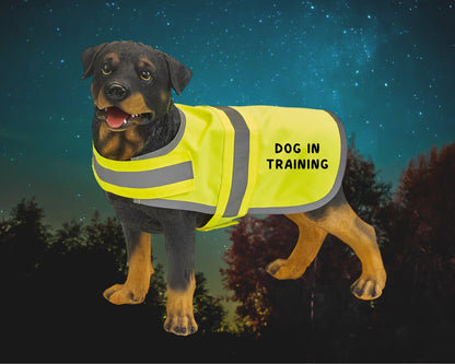 Personalised Dog High Vis Coat