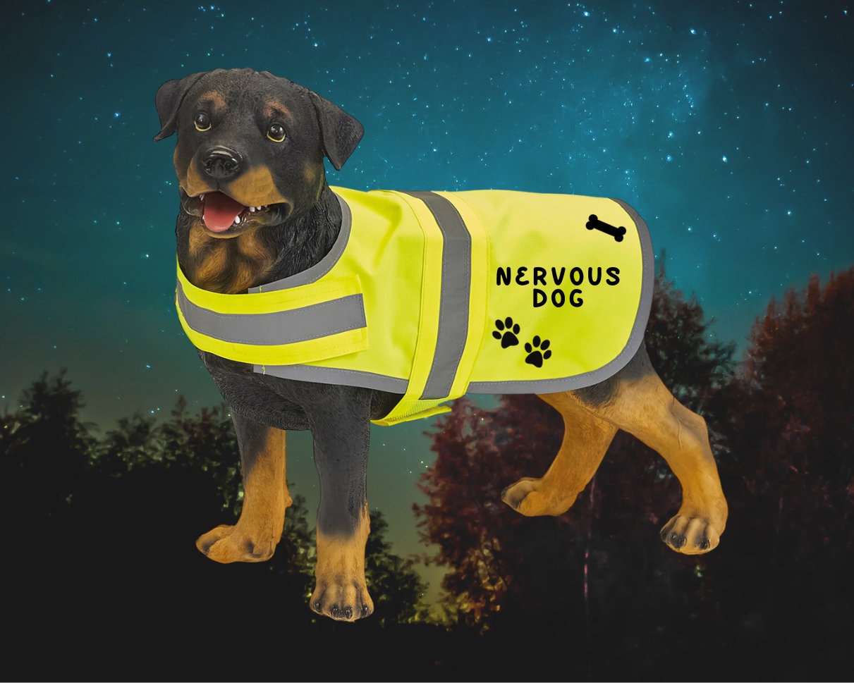 Personalised Dog High Vis Coat